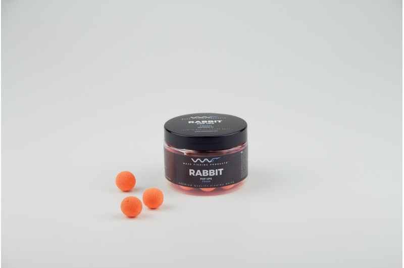 Rabbit Fluoro Pop Up