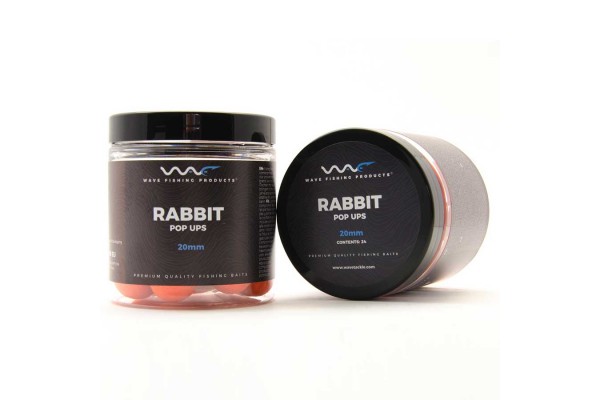 Rabbit Fluoro Pop Up