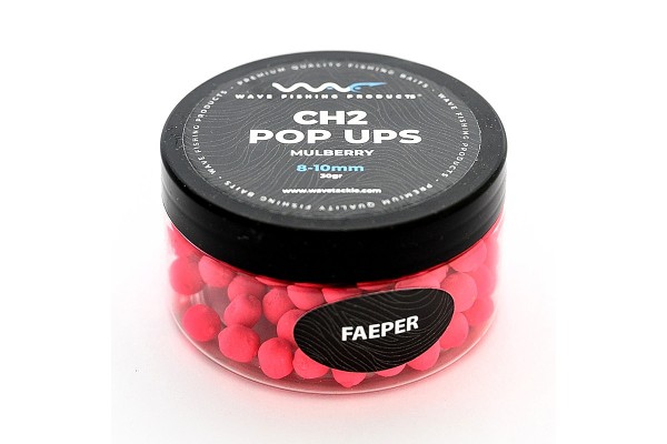 CH2 Mini Pop Up