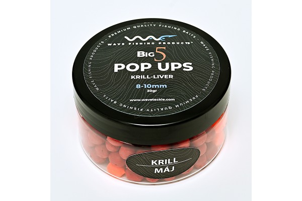 Big5 Mini Pop Up