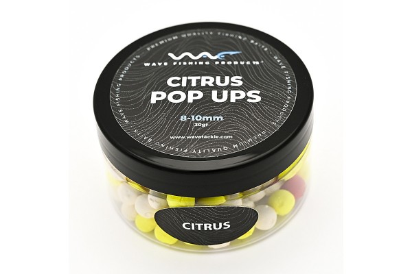 Citrus Mini Pop Up